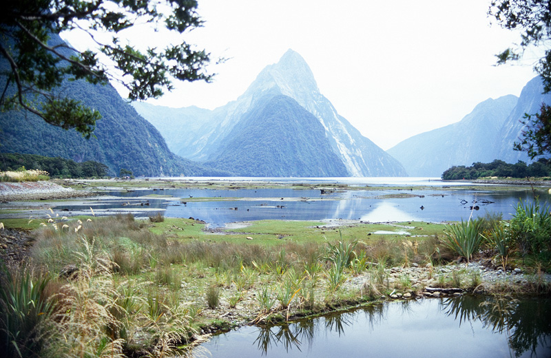 99nz154